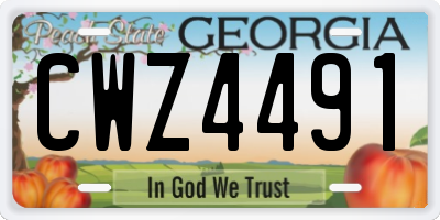 GA license plate CWZ4491
