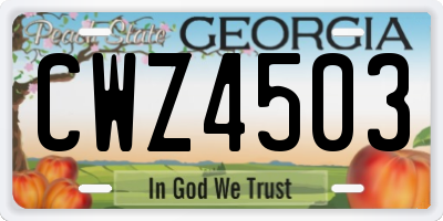 GA license plate CWZ4503