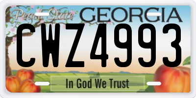 GA license plate CWZ4993