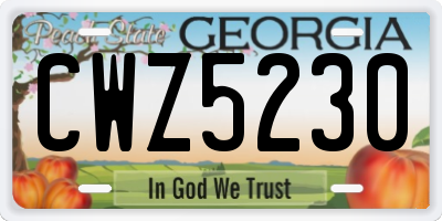 GA license plate CWZ5230