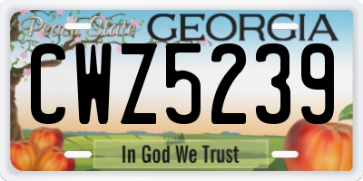 GA license plate CWZ5239