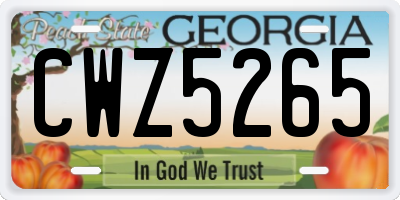 GA license plate CWZ5265
