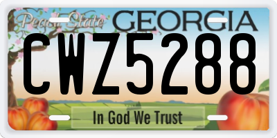 GA license plate CWZ5288