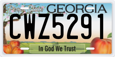 GA license plate CWZ5291