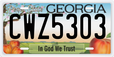 GA license plate CWZ5303