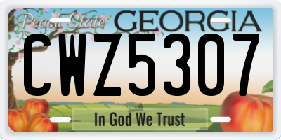 GA license plate CWZ5307