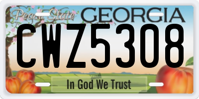 GA license plate CWZ5308