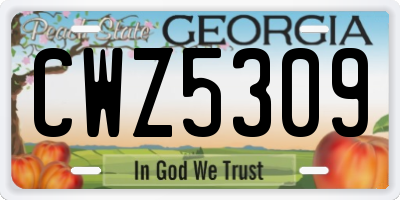 GA license plate CWZ5309