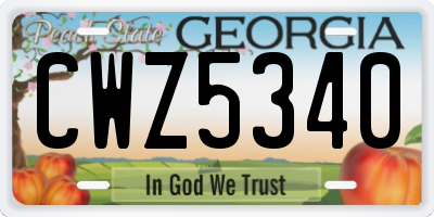GA license plate CWZ5340