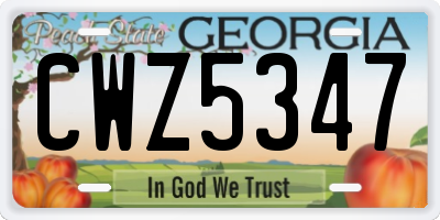 GA license plate CWZ5347