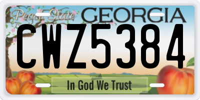GA license plate CWZ5384