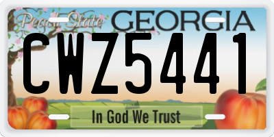 GA license plate CWZ5441