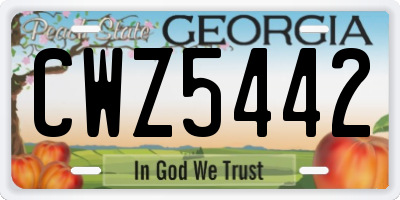 GA license plate CWZ5442