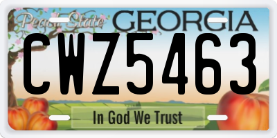 GA license plate CWZ5463