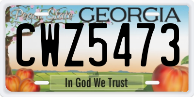 GA license plate CWZ5473