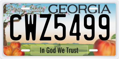 GA license plate CWZ5499