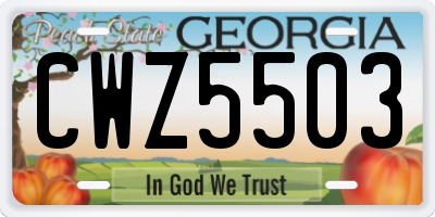 GA license plate CWZ5503