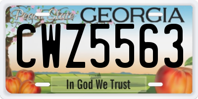 GA license plate CWZ5563