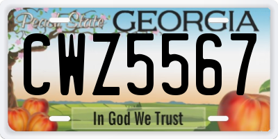 GA license plate CWZ5567