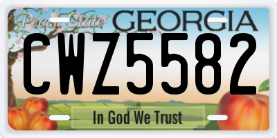 GA license plate CWZ5582