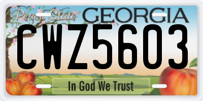 GA license plate CWZ5603
