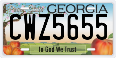 GA license plate CWZ5655