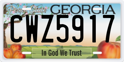 GA license plate CWZ5917