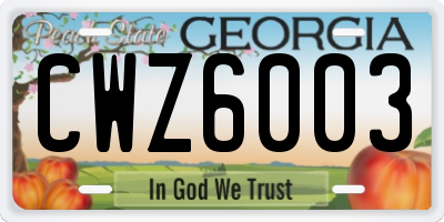 GA license plate CWZ6003