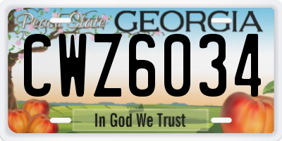 GA license plate CWZ6034
