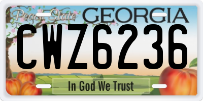 GA license plate CWZ6236