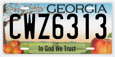 GA license plate CWZ6313