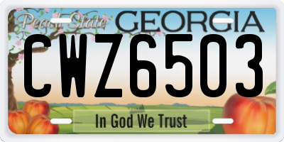 GA license plate CWZ6503