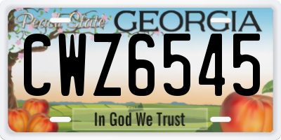 GA license plate CWZ6545