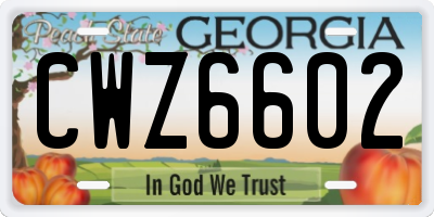 GA license plate CWZ6602