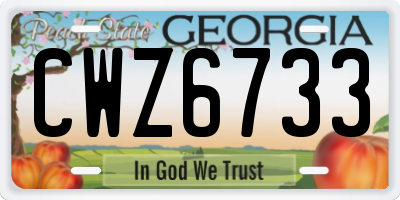 GA license plate CWZ6733
