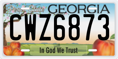 GA license plate CWZ6873