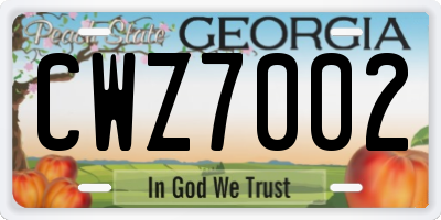 GA license plate CWZ7002