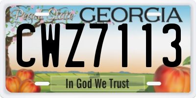 GA license plate CWZ7113