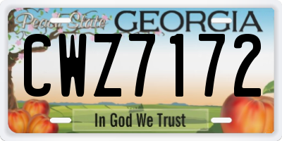 GA license plate CWZ7172