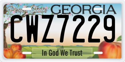 GA license plate CWZ7229