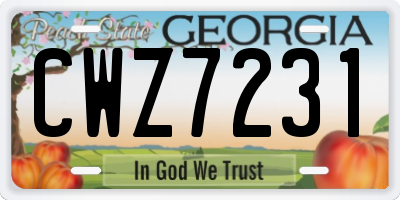 GA license plate CWZ7231