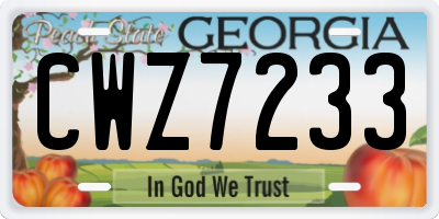 GA license plate CWZ7233