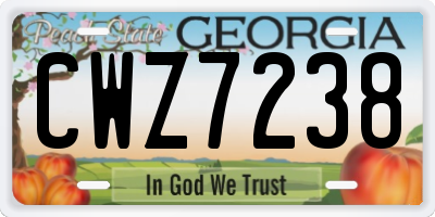 GA license plate CWZ7238
