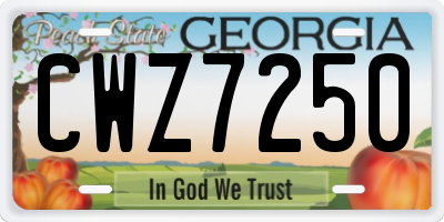 GA license plate CWZ7250