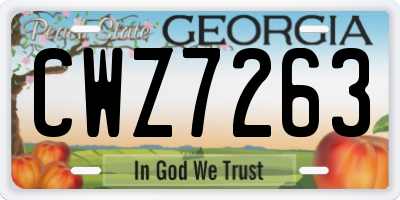GA license plate CWZ7263