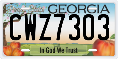GA license plate CWZ7303