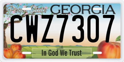 GA license plate CWZ7307
