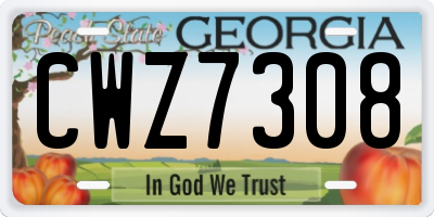 GA license plate CWZ7308