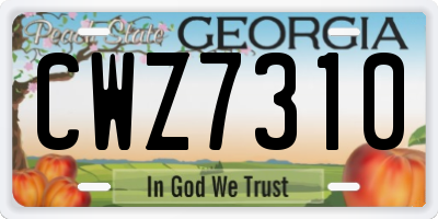 GA license plate CWZ7310