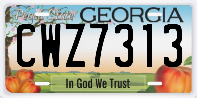 GA license plate CWZ7313